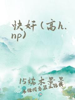快奸 (高h.np)