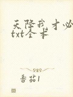 天降我才必有用txt全本