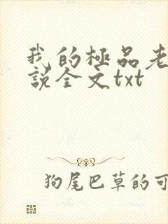 我的极品老婆小说全文txt