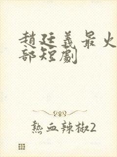 赵廷义最火的5部短剧