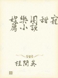 娱乐圈甜宠文推荐小说