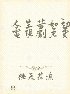 人生若如初相见电视剧免费看