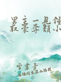 男主一见钟情强取豪夺类小说