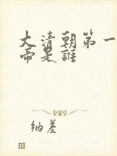 大清朝第一个皇帝是谁