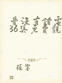 爱没有错电视剧36集免费观看