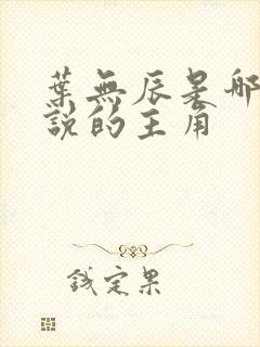 叶无辰是哪部小说的主角