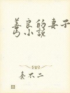 善良的妻子老乞丐小说