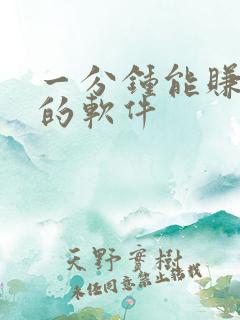 一分钟能赚十元的软件