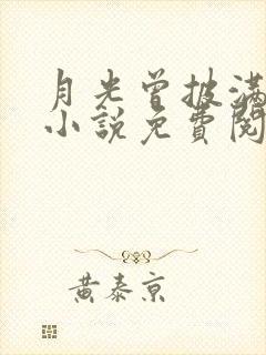 月光曾披满我身小说免费阅读