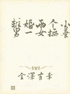 离婚两个小孩一男一女抚养权怎么判定