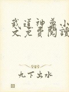 武道神尊小说全文免费阅读