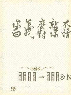 你怎么就不能明白我对你情深似海歌词