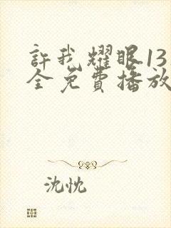 许我耀眼13集全免费播放