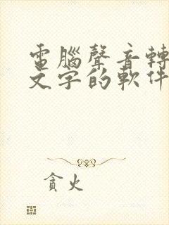 电脑声音转化为文字的软件