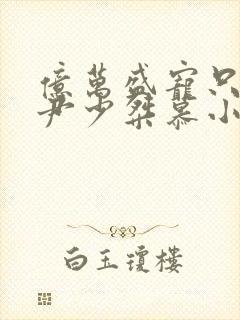 亿万盛宠只为你尹少桀慕小小