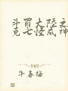 斗罗大陆之史莱克七怪成神之路