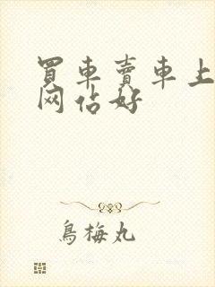 买车卖车上什么网站好