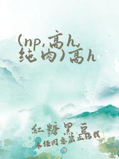 (np,高h,纯肉)高h