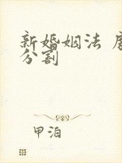 新婚姻法 房产分割