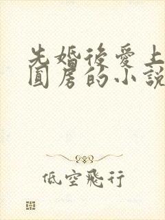 先婚后爱上来就圆房的小说