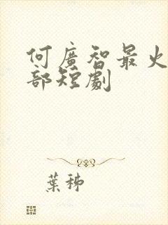 何广智最火的5部短剧