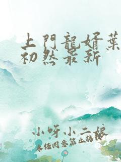上门龙婿叶辰萧初然最新