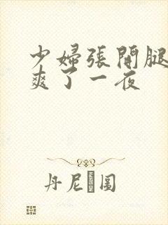 少妇张开腿让我爽了一夜