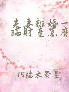 夫妻离婚一方隐瞒财产怎么查