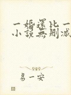 一婚还比一婚高小说无删减版
