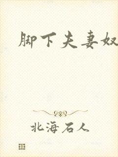 脚下夫妻奴小说