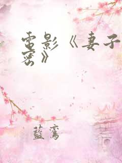 电影《妻子的秘密》