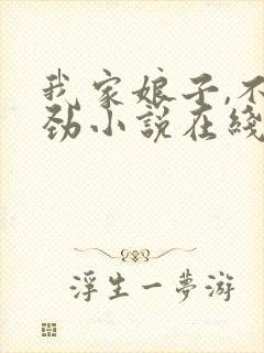 我家娘子,不对劲小说在线免费阅读