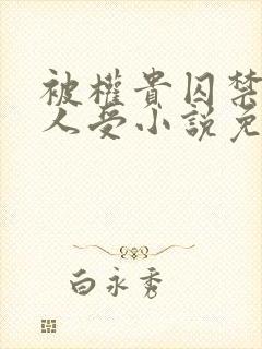 被权贵囚禁的美人受小说免费阅读下