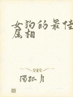 女狗的最佳配偶属相