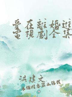 爱在离婚进行时电视剧全集免费观看