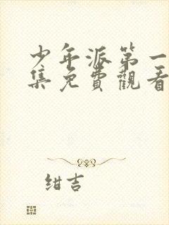 少年派第一季全集免费观看完整版