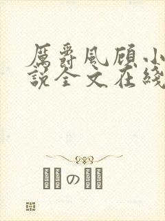 厉爵风顾小艾小说全文在线阅读无删减