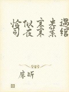 恰似寒光遇骄阳司夜寒叶绾绾