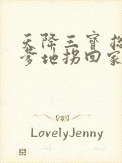 天降三宝 总裁爹地拐回家