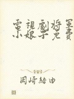 电视剧将军家的小娘子免费观看