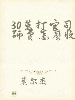 30万打官司律师费怎么收费