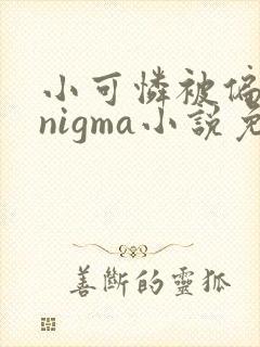 小可怜被偏执enigma小说免费阅读