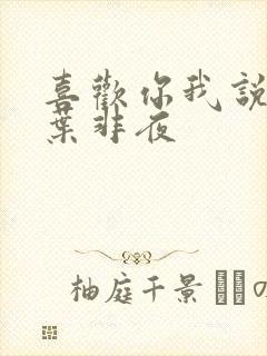 喜欢你我说了算叶非夜