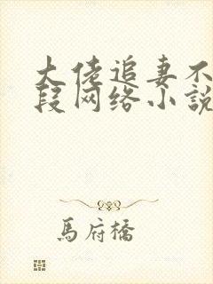 大佬追妻不择手段网络小说