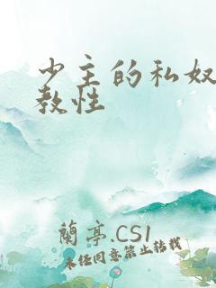 少主的私奴虐调教性