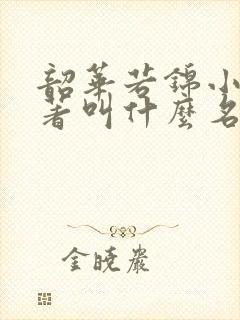 韶华若锦小说原著叫什么名字