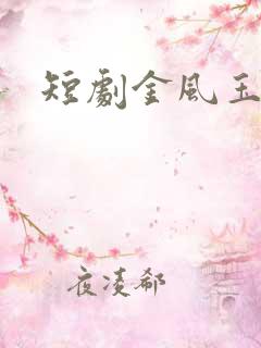 短剧金风玉露