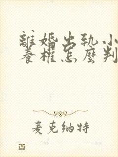 离婚出轨小孩抚养权怎么判