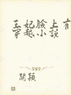 王妃脸上有胎记穿越小说