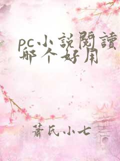 pc小说阅读器哪个好用